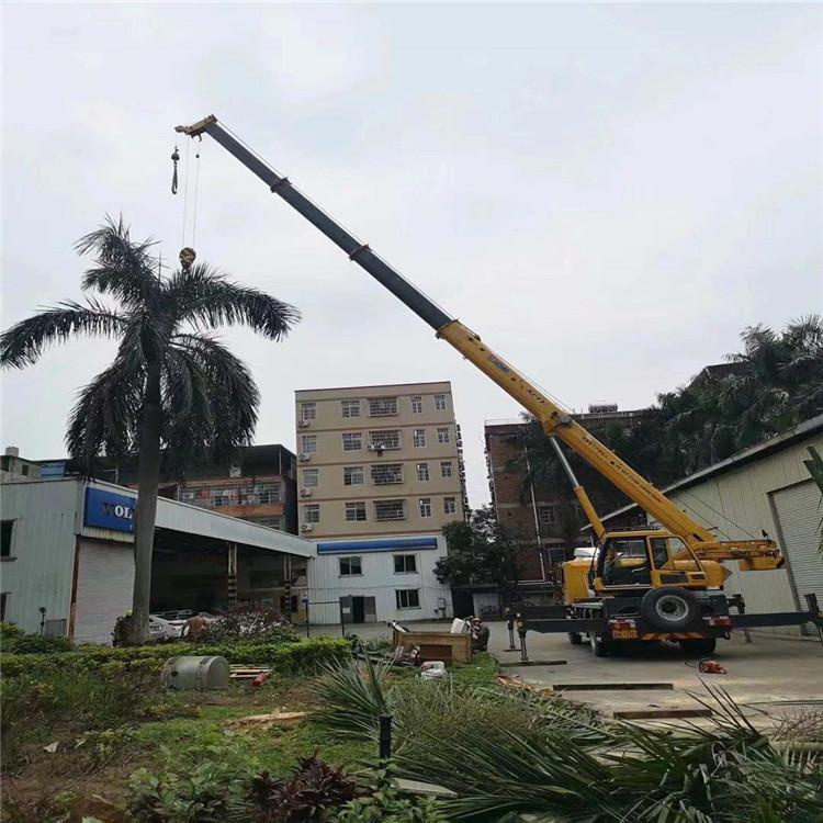 稻城汽车吊出租多少钱？全面解析与市场行情